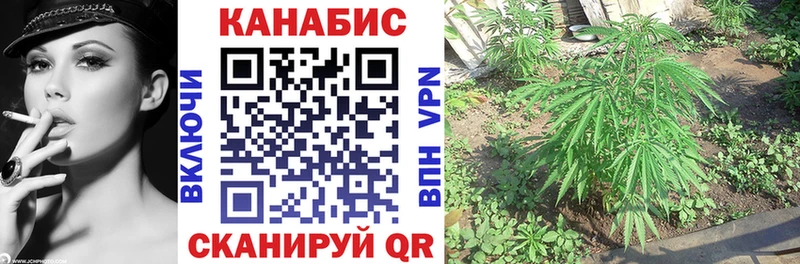 Шишки марихуана White Widow  наркота  Электрогорск 
